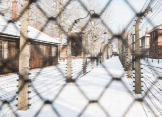 Auschwitz Birkenau Kraków