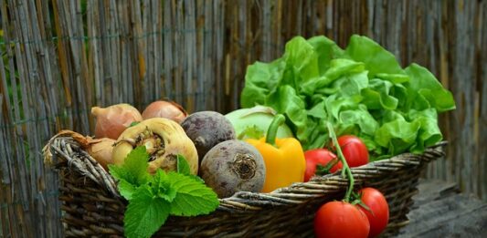 Jak przygotować warzywa na zimę?